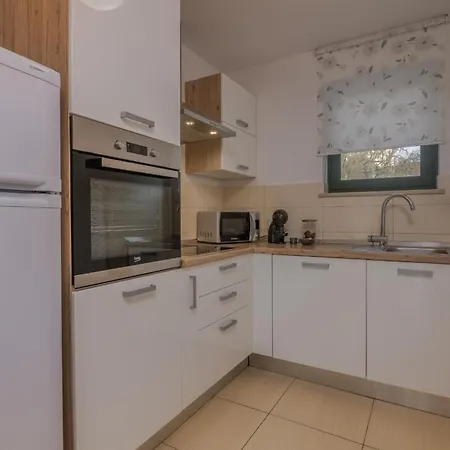 Navis Near The Sea Vantacici