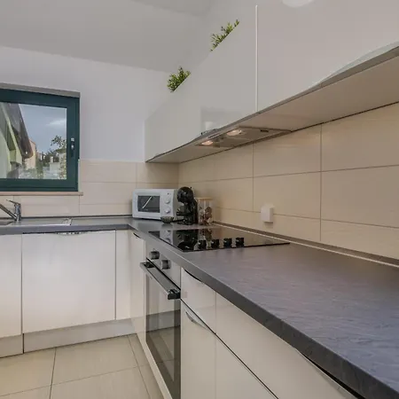 Navis Near The Sea Vantacici