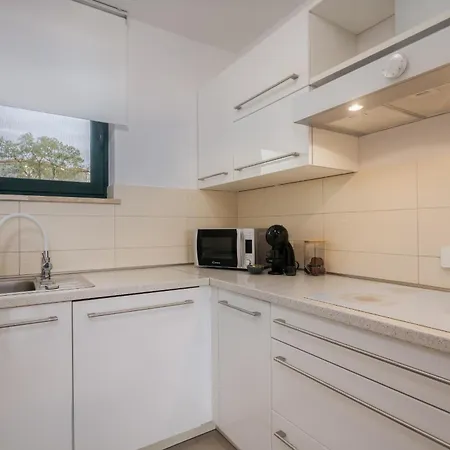 Navis Near The Sea Vantacici