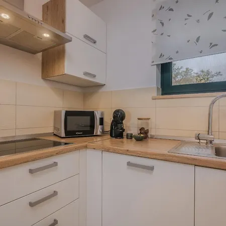 Navis Near The Sea Vantacici